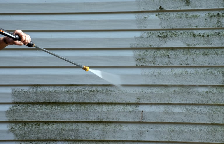 Before: Mold and mildew on vinyl siding