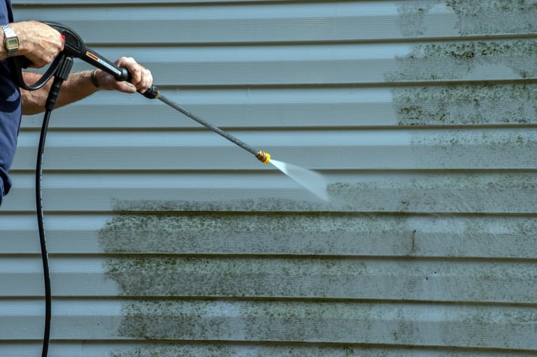 Before: Homeowner power washing moldy siding